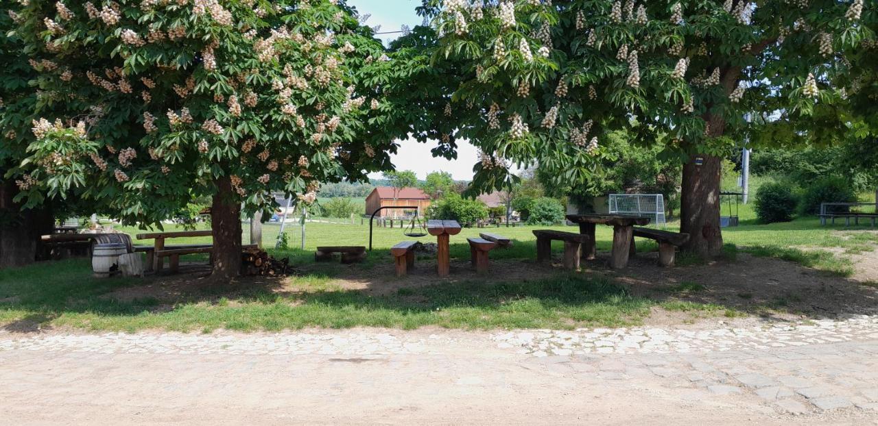 Ubytovani Na Sklepe U Prochazku Pouzdrany المظهر الخارجي الصورة